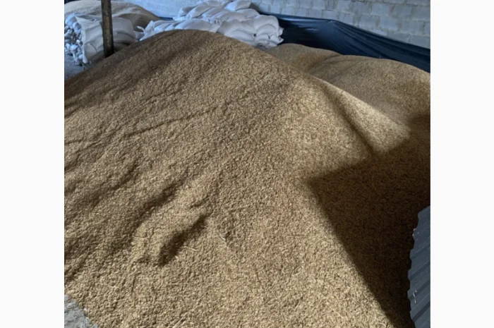 Продаж овесу сорт Парламентський- фото № 1