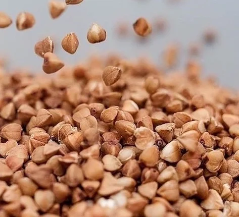 Зерно гречки від виробника- фото № 1