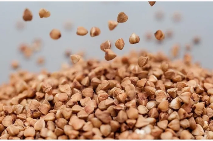 Гречка оптом для продажу- фото № 1