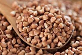 Насіння гречки Гренбі на продаж- фото № 1