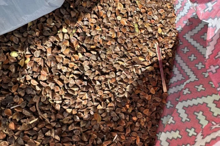 Покупка гречки від переробного підприємства- фото № 1