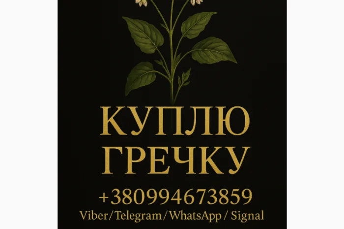 Куплю гречку: высокая цена- фото № 1