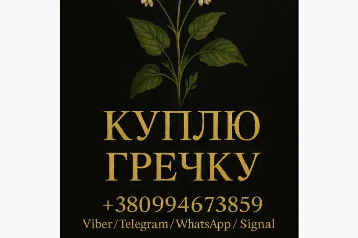 Куплю гречиху ! Дорого- фото № 1