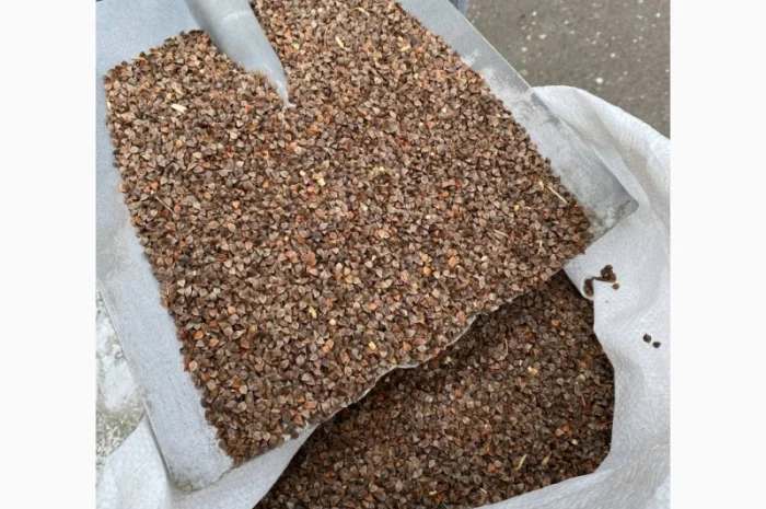 Гречка неочищенная, мешки по 30 кг- фото № 2