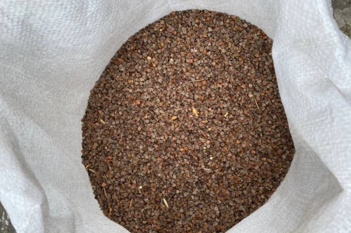 Гречка неочищенная, мешки по 30 кг- фото № 3