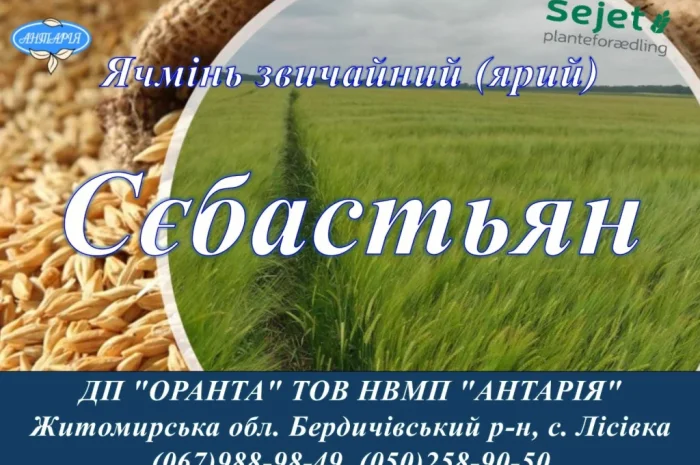 Продаю насіння ячменю Сєбастьян- фото № 1