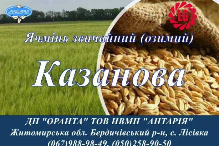 Продаж озимого ячменя Казанова- фото № 1