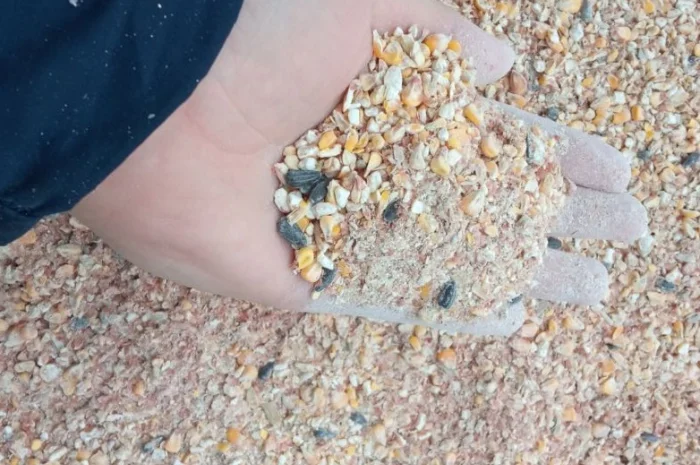 Закупаем зерновые отходы- фото № 1