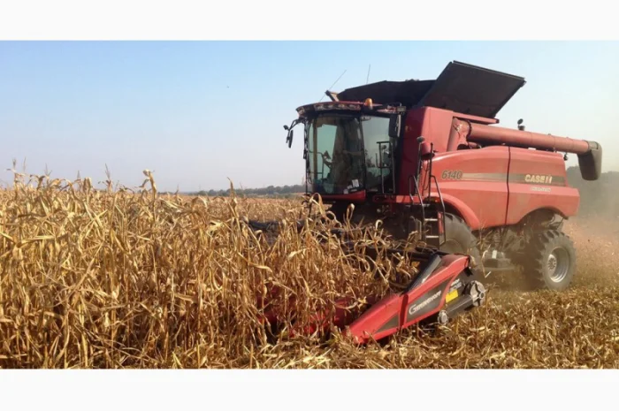 Покупка кукурудзи за вигідними цінами- фото № 1