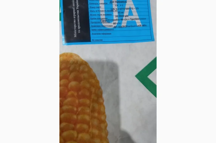 Кукурудза Пивиха 25 кг, сорт Хотин- фото № 1