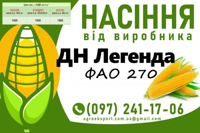Насіння кукурудзи ДН Легенда (ФАО 270) на 2025 год от производителя- фото № 1
