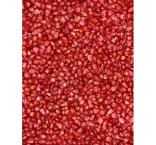 Насіння кукурудзи ДН Фієста (ФАО 260) від виробника- фото № 3