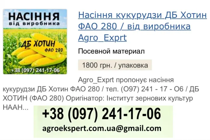 Насіння кукурудзи ДБ Хотин (ФАО 280) от Agro_Exprt- фото № 1