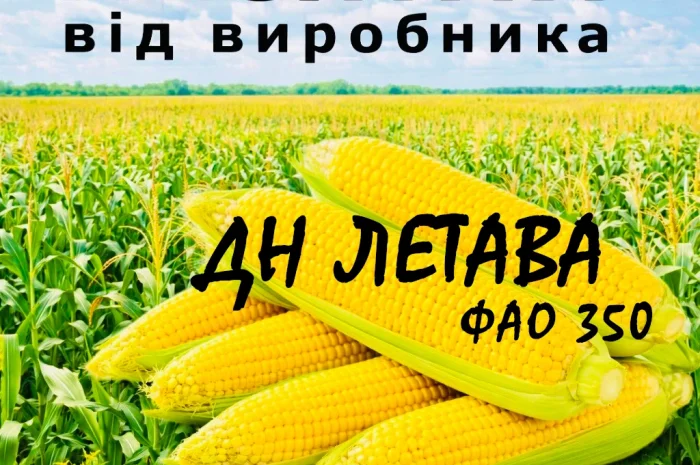 Насіння кукурудзи ДН Летава ФАО 350 от производителя Agro_Exprt- фото № 1