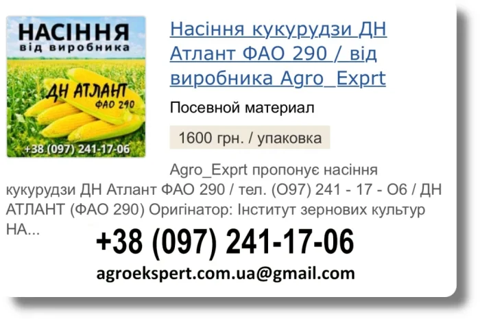 Продаж Насіння Кукурудзи ДН Атлант на 2026- фото № 1