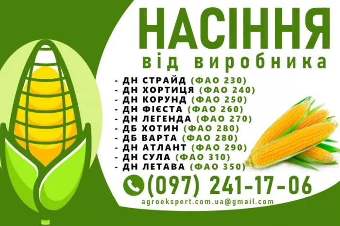 Качественное семя кукурузы от производителя в Харькове- фото № 1