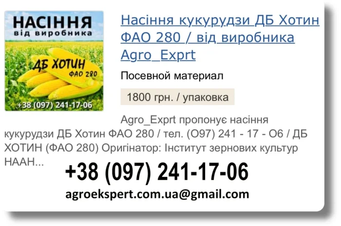 Продаж Насіння Кукурудзи ДБ Хотин на 2026- фото № 1