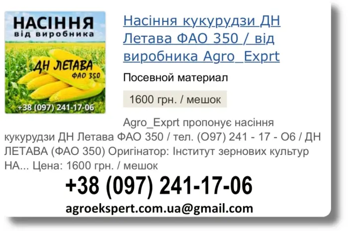 Продаж насіння кукурудзи ДН Летава на 2026 рік від виробника- фото № 1