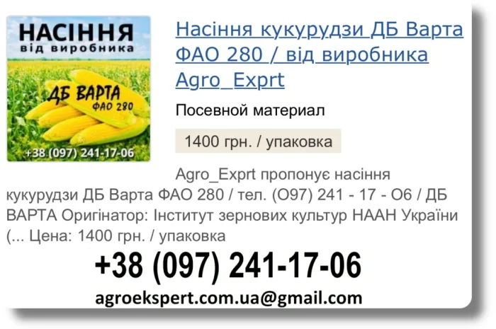 Продаж насіння кукурудзи ДБ Варта посівмат на 2026 рік від виробника- фото № 1