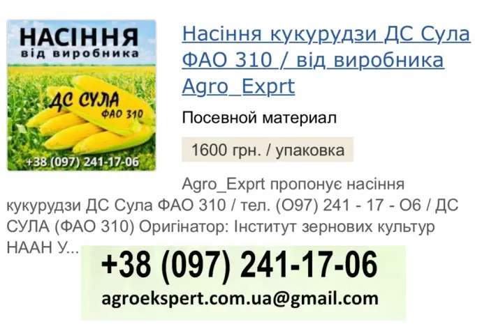 Насіння кукурудзи ДС Сула (ФАО 310) від Agro_Exprt- фото № 1