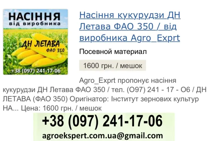 Насіння кукурудзи ДН Летава (ФАО 350) у продажу- фото № 1