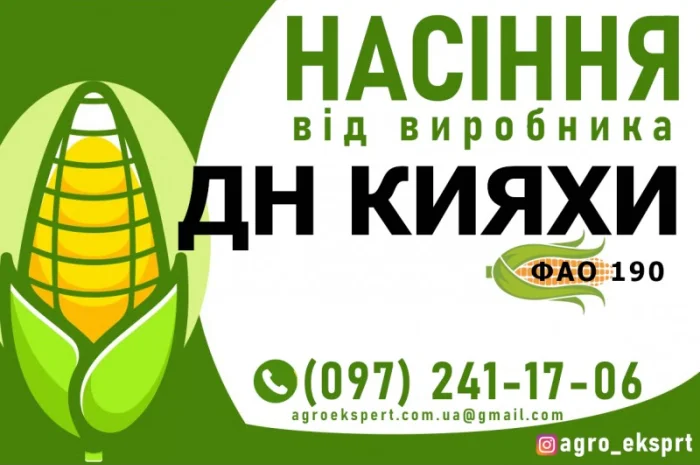 Гибрид кукурузы ДН Кияхи (ФАО 190) от производителя- фото № 1