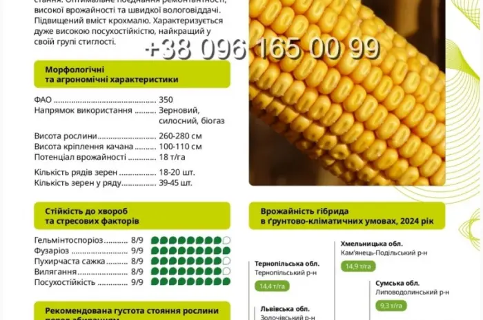 Насіння кукурудзи ТЕСЛА ФАО 350 – висока продуктивність для вашого поля- фото № 1