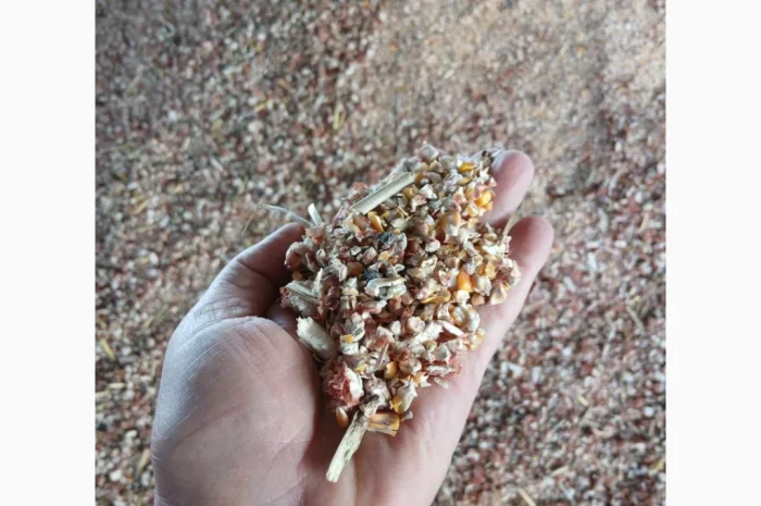 Продажа зерновідхода из кукурузы- фото № 2