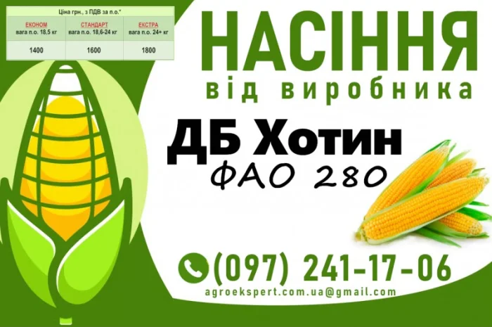 Продажа насіння кукурудзи ДБ Хотин (ФАО 2860) 2025 року- фото № 1
