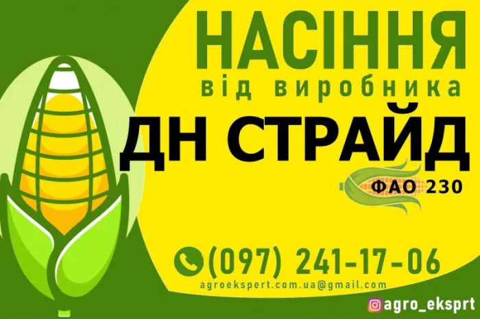 Гибрид кукурузы ДН Страйд (ФАО 230) от производителя- фото № 1