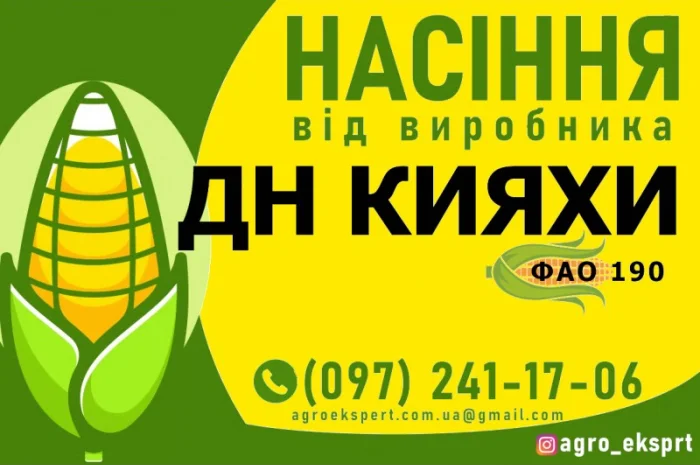Насіння кукурудзи ДН Кияхи (ФАО 190) от производителя- фото № 1