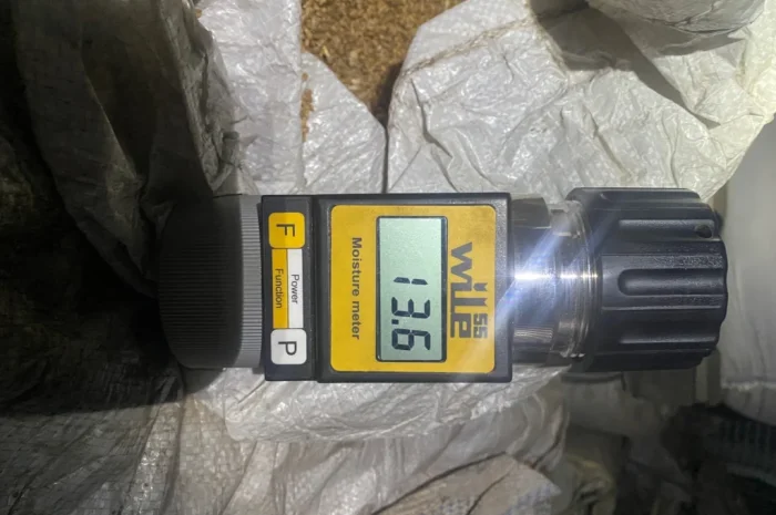 Пропонується пшениця урожаю 2025 року- фото № 1