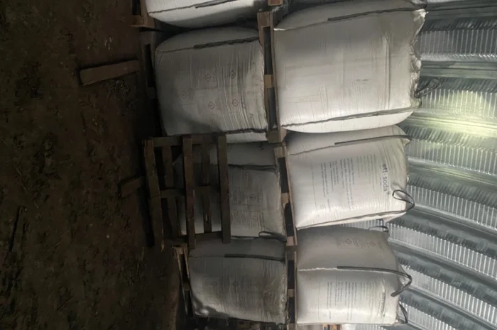 Пропонується пшениця урожаю 2025 року- фото № 2