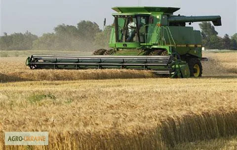 Покупка фуражної пшениці від 100 тонн- фото № 1