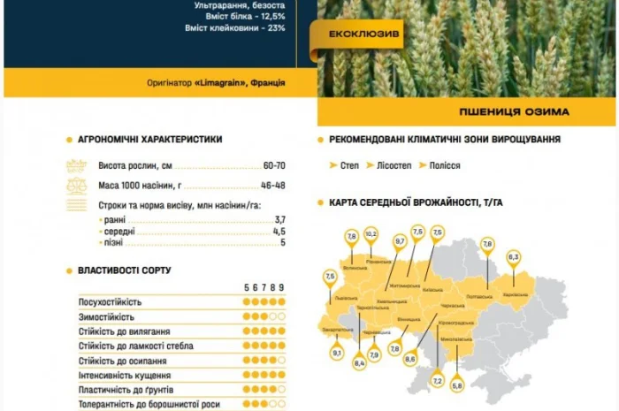 Продажа семян ультраранней озимой пшеницы- фото № 4