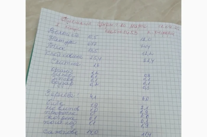 Пшеница на продажу 50 тон- фото № 1