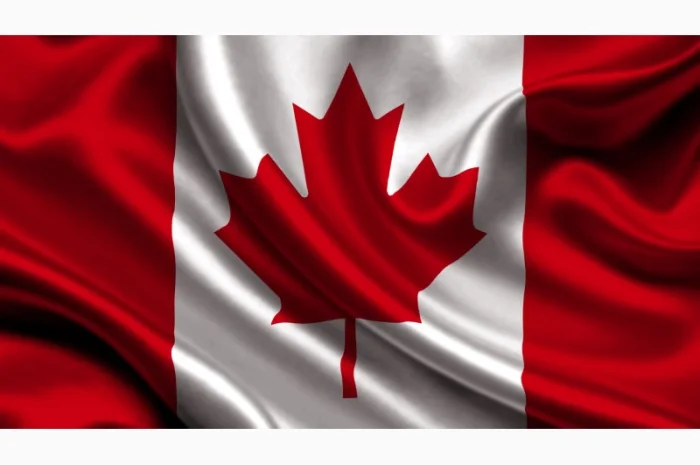 Насіння канадської пшениці на продаж- фото № 1