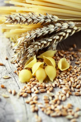 Продаж насіння Канадської пшениці Калидон- фото № 1