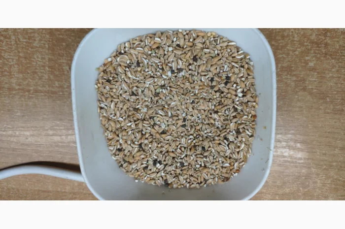 Продается пшеница дроблёная- фото № 1