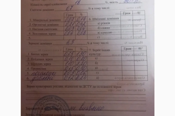 Пшениця озима на продаж- фото № 1