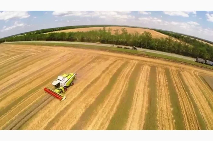 Закупаем пшеницу 2-3 класса в Ровно- фото № 1