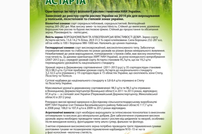 Насіння озимої пшениці Астарта (еліта) 2025- фото № 1