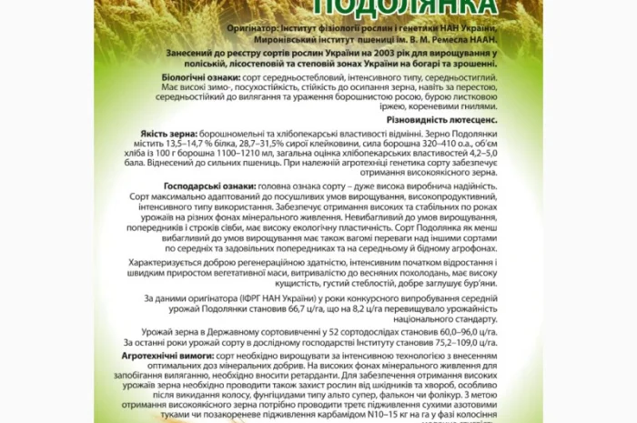 Продажа насіння озимої пшениці Подолянка (еліта) 2025- фото № 1