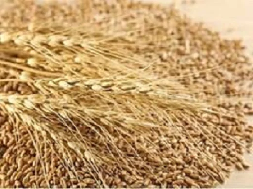 Покупка зерновідходів и побічних продуктів- фото № 1