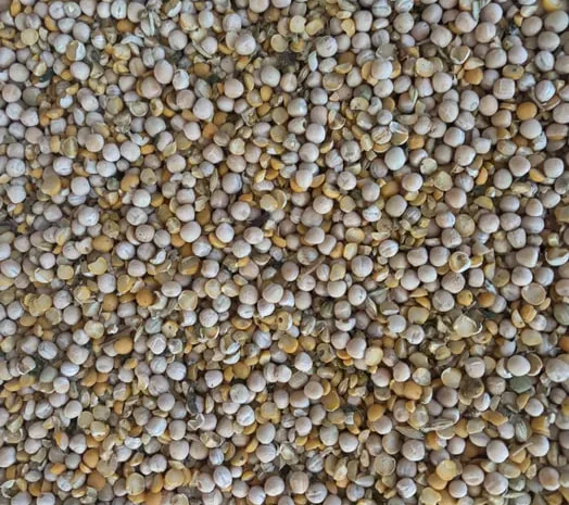 Продам горох кормовий збір 2025- фото № 1