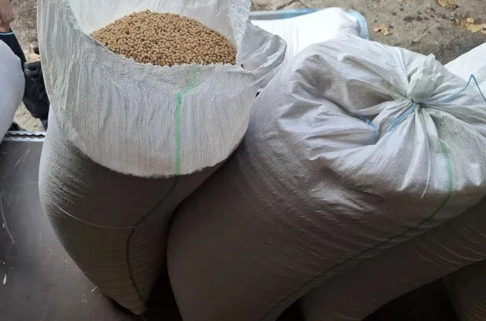 Продам горох на корм- фото № 1