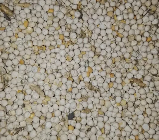 Продам горох фураж на корм- фото № 1