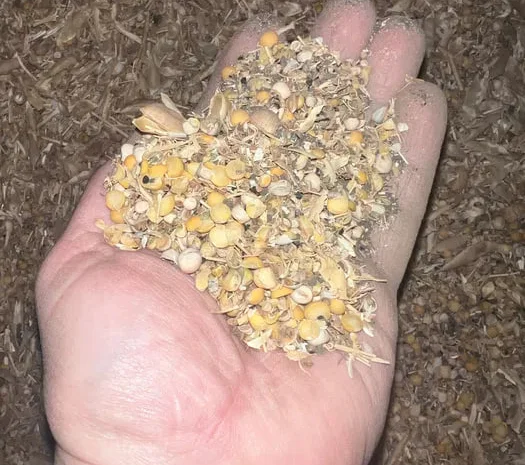 Продам відходи гороху- фото № 1