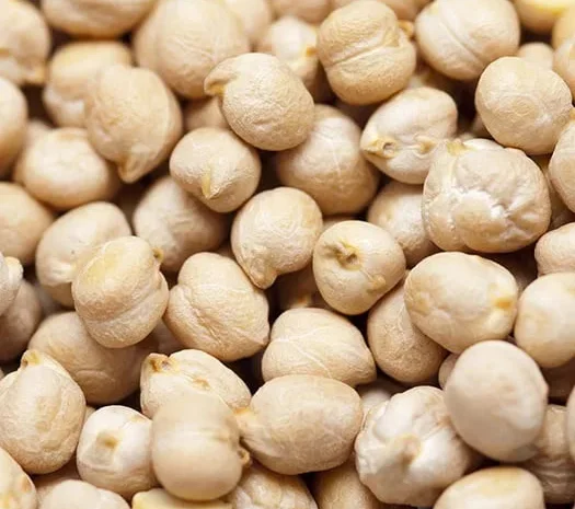 Продам Нут 100 тонн цена 16 грн- фото № 1