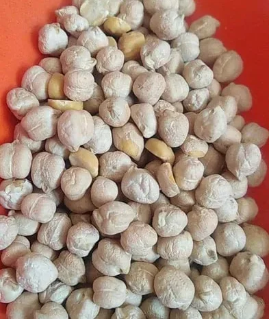 Нут крупний калібрований Узбекістан 1 кг- фото № 1